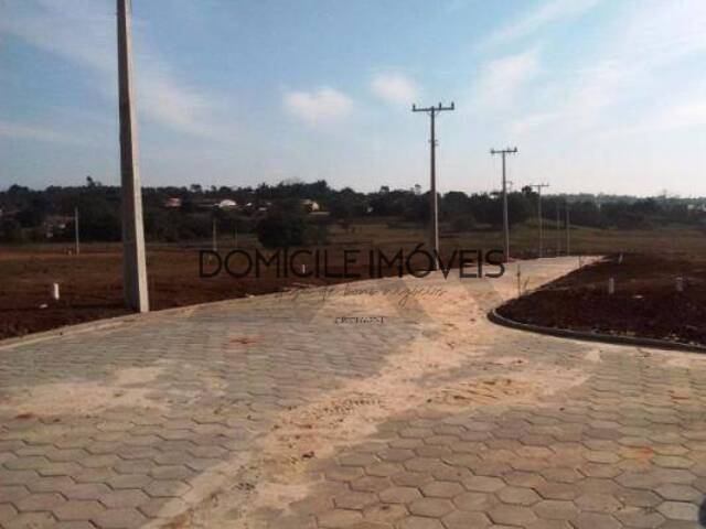 Terreno para Venda em Criciúma - 3
