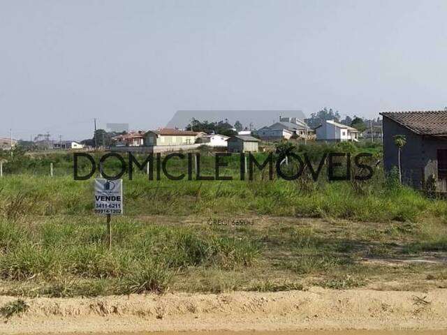 #524 - Terreno para Venda em Morro da Fumaça - SC - 1