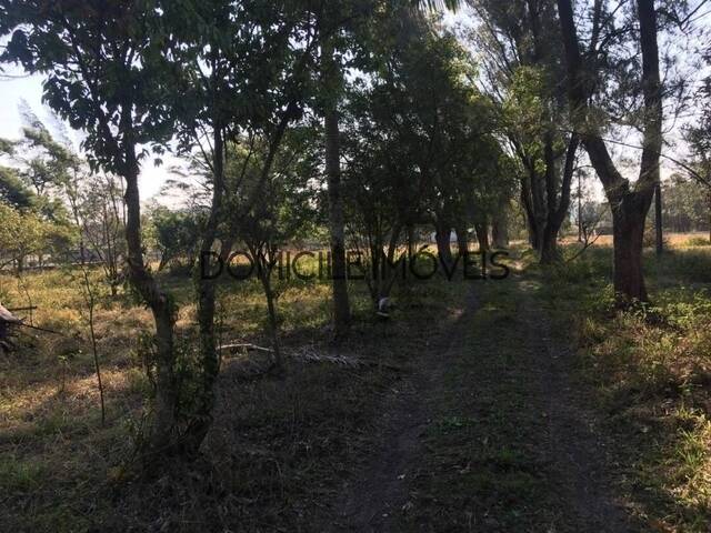 #608 - Sítio para Venda em Balneário Rincão - SC - 3