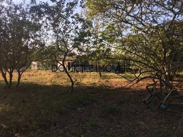 Sítio para Venda em Balneário Rincão - 4