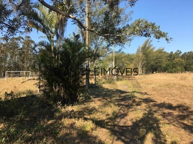 Sítio para Venda em Balneário Rincão - 5