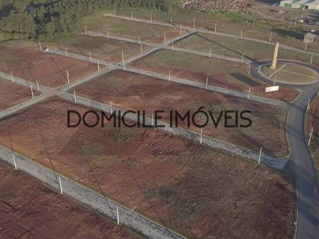 Terreno para Venda em Criciúma - 3