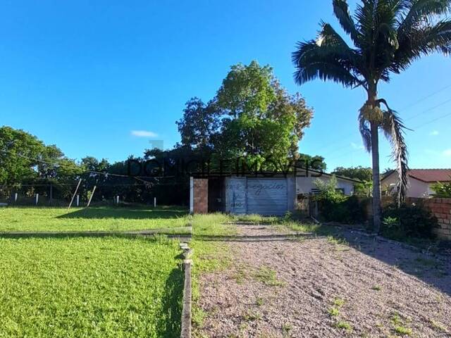 Casa para Locação em Criciúma - 3