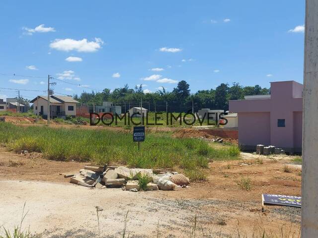 Terreno para Venda em Criciúma - 3