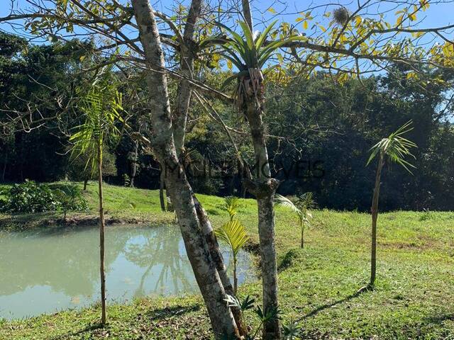Terreno para Venda em Urussanga - 4