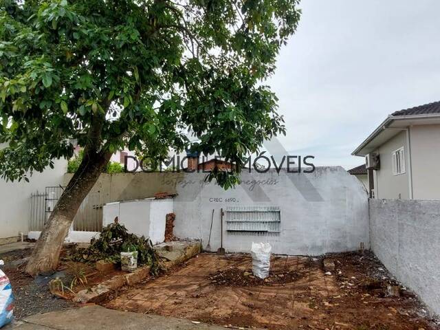 Casa para Locação em Criciúma - 5