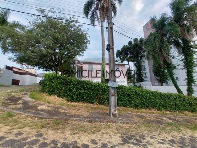 Casa para Locação em Criciúma - 2