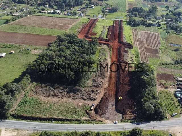 #1117 - Terreno para Venda em Criciúma - SC - 3