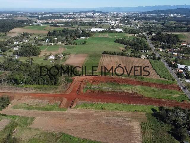 Terreno para Venda em Criciúma - 4