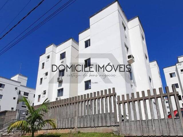 #1263 - Apartamento para Locação em Criciúma - SC - 1