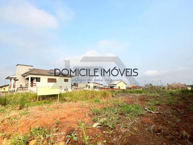Terreno para Venda em Criciúma - 3