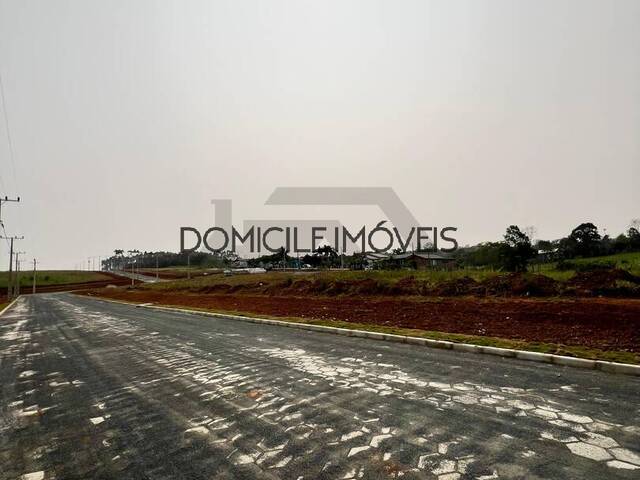 Terreno para Venda em Criciúma - 5