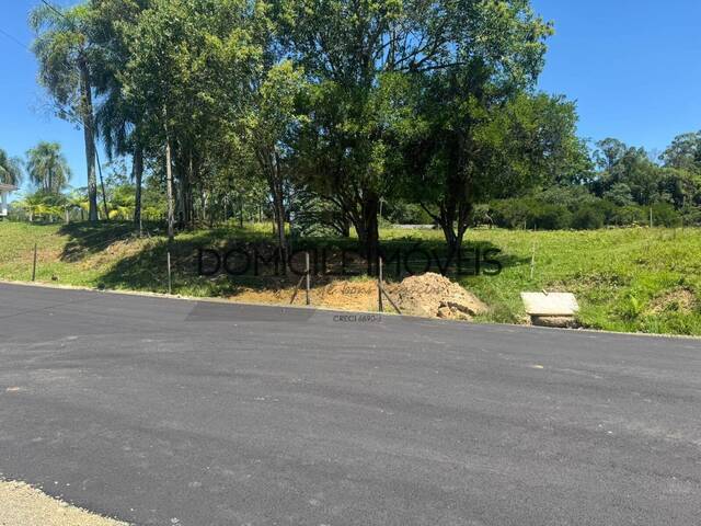 #1386 - Terreno para Venda em Criciúma - SC - 2