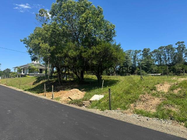 #1386 - Terreno para Venda em Criciúma - SC - 3