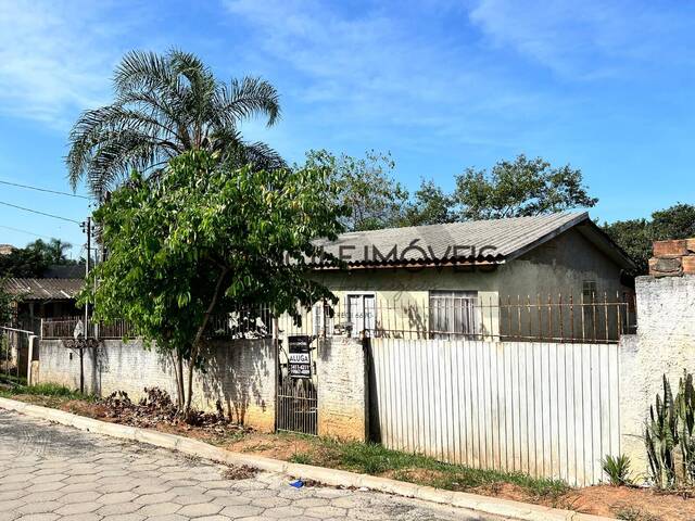 #1412 - Casa para Locação em Criciúma - SC - 2