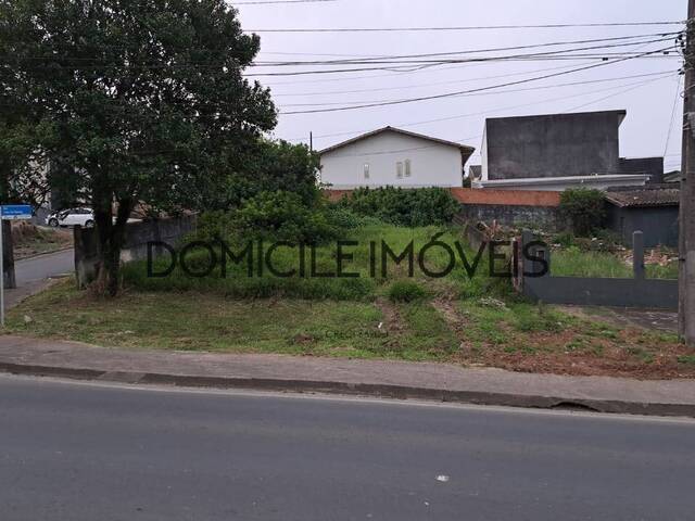 #1438 - Área para Venda em Criciúma - SC - 1
