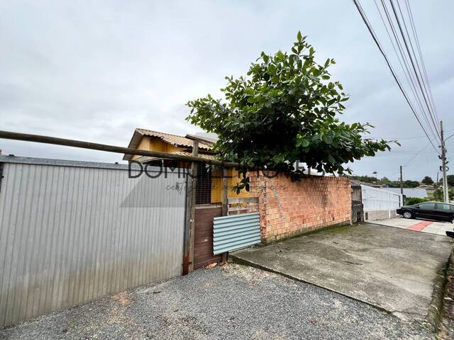 Casa para Locação em Criciúma - 5
