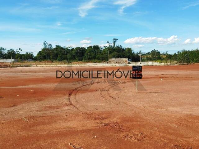 #1451 - Área para Venda em Criciúma - SC - 2