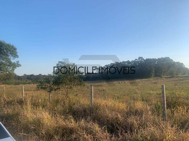 #1474 - Área para Venda em Criciúma - SC - 2