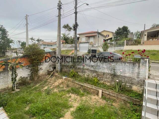 Casa para Locação em Criciúma - 3