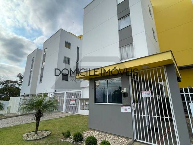 #1600 - Apartamento para Locação em Criciúma - SC - 1