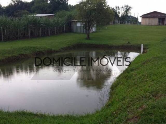 Sítio para Venda em Criciúma - 5
