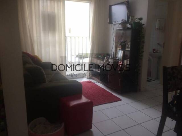 Apartamento para Locação em Criciúma - 4